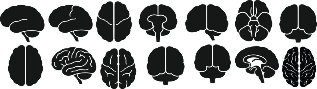 Black Brain Silhouette Vector Collection Showing Human Anatomy, Neuroscience Illustration, and Medical Design for Educational and Scientific Graphic Projects