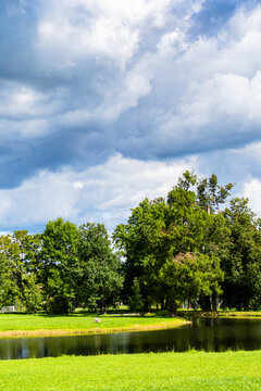 blue gray clouds over green grove and pond in park