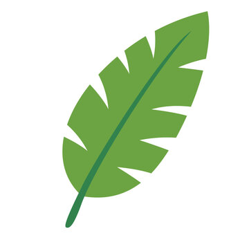 Green Tropical Leaf Vector Illustration