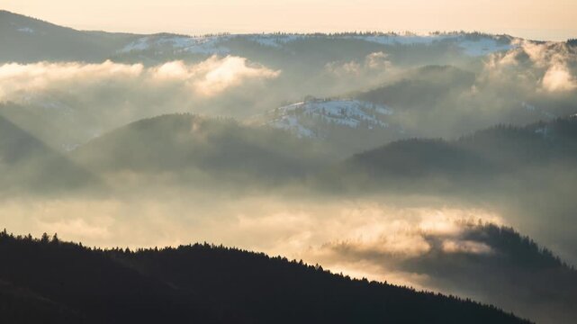 Golden morning mist sweeps across rolling mountain ridges and conifer forests in time lapse. Cinematic nature footage for travel promotion, weather visuals, and serene outdoor concepts
