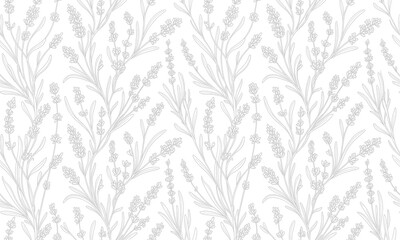 Lavender floral seamless pattern background, vector vintage botanical illustration © md