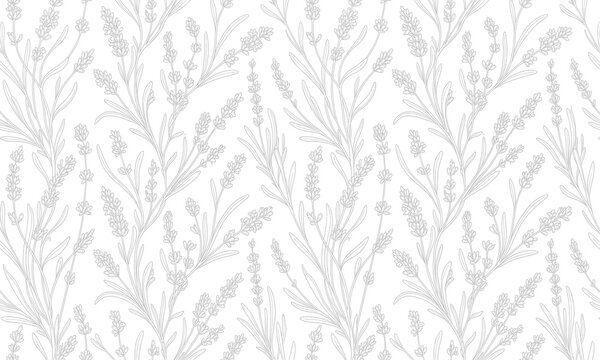 Lavender floral seamless pattern background, vector vintage botanical illustration