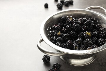 Ripe blackberries in colander on grey table, closeup. Space for text © New Africa