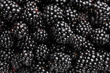 Heap of ripe tasty blackberries as background, closeup © New Africa