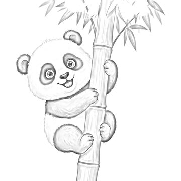 Cute panda bear climbing a bamboo stalk, hand drawn sketch illustration isolated on white.