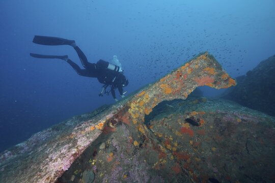 A diver examines an old shipwreck covered with sea sponges, dive site Wreck Michel C, Hy&egrave;res, Giens Peninsula, Mediterranean Sea, Provence Alpes C&ocirc;te d'Azur, France