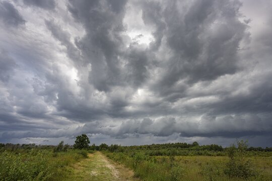 Thunderstorm over Goldenstedter Moor, clouds, weather, Goldenstedt, Lower Saxony, Germany