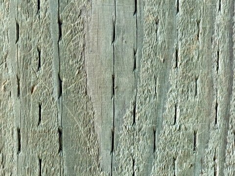 old wood texture oxidizing from copper sulfate 