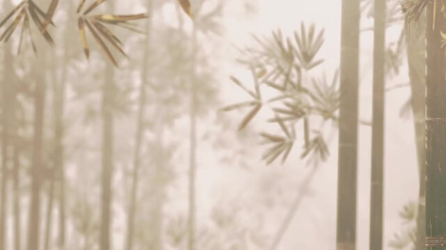 A bamboo forest shrouded in fog. The tall bamboo stalks rise amidst the mist. Early morning light creates a soft atmosphere as the day begins.