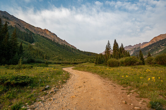 Castle Creek Trail near Aspen, Colorado in early morning light.