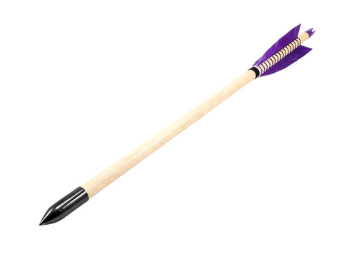 Traditional wooden archery arrow with purple fletching isolated