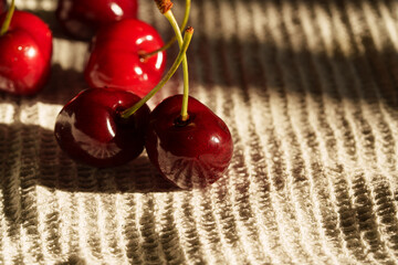 Close-up of juicy ripe cherries with green stems ready to eat, with copy space for text. Detailed food shot of sweet red berries. © Edita