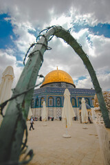 Vertical framed view of Dome of the Rock © nayefhammouri