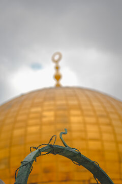 Golden Dome of the Rock behind green wire
