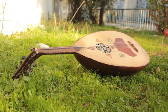 Traditional wooden oud resting on grass