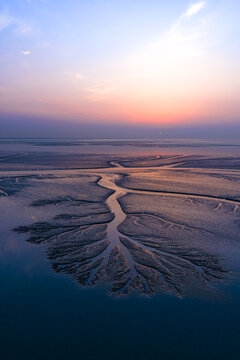 Drone image of tidal tree at the sunrise time. The patterns are carved into the mudflats by the high speed ebb and flow of tidal bores.