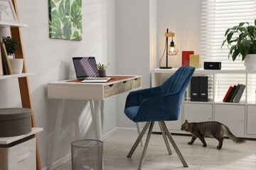 Fototapeta premium Stylish workplace with desk, chair and cute cat in office. Interior design