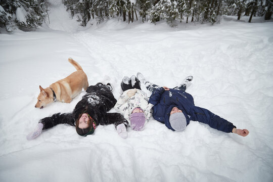 People enjoy winter walk during Maslenitsa while making snow angels with a dog in a snowy forest setting