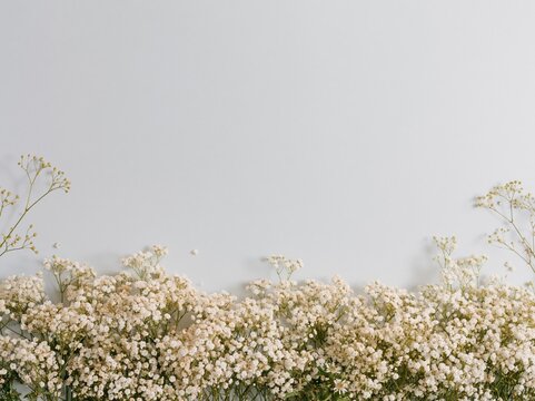 Baby's breath flowers along the bottom edge of a cool grey blue paper background with copy space, for wedding stationery and memorials