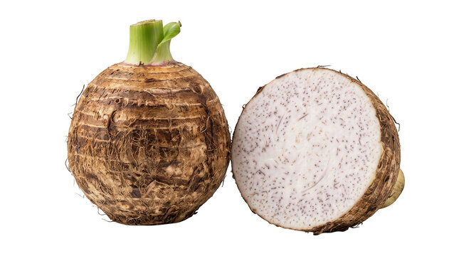 Fresh taro root whole and cut in half isolated on transparent background