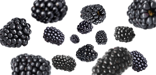 Fresh blackberries flying in air against white background © New Africa