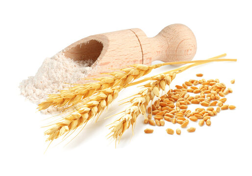 Ears of wheat, grains and flour on white background