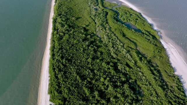 Florian&oacute;polis, Daniela Beach. Aerial View of Tropical Coastline. Establishing Shot. Santa Catarina, Brazil.