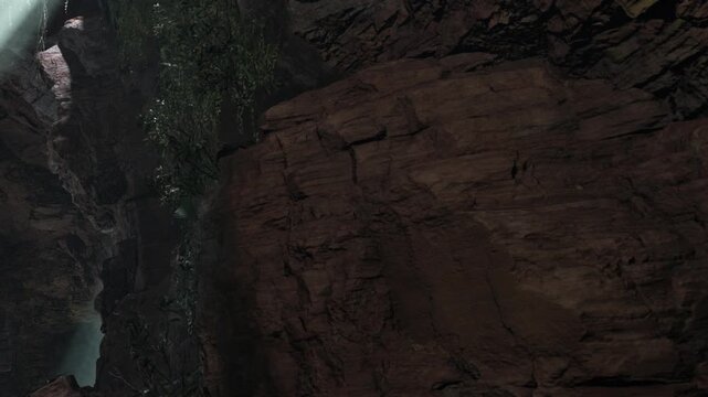A view of rough rocks and cave walls is shown. The setting is dark, with small patches of green leaves visible. Light shines in from above, creating shadows in the environment.