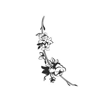 Hand Drawn Floral and Botanical Line Art Vector Set, Elegant Flowers and Leaves, Minimalist Outline Illustrations, Decorative Elements for Wedding, Branding, Invitations and Graphic Design