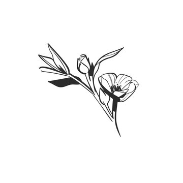 Hand Drawn Floral and Botanical Line Art Vector Set, Elegant Flowers and Leaves, Minimalist Outline Illustrations, Decorative Elements for Wedding, Branding, Invitations and Graphic Design