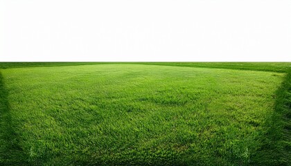 Obraz premium Isolated Square Patch Of Green Grass Lawn Field