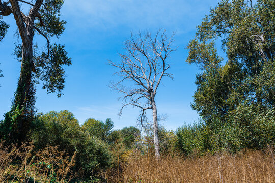 view of California countryside
