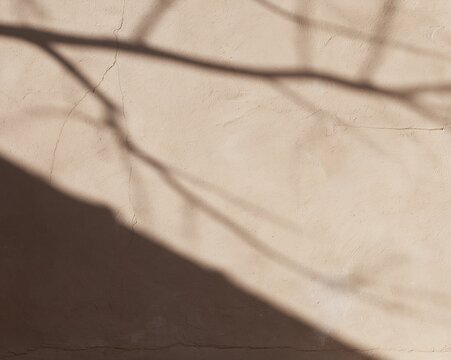 Warm limewash plaster wall with a sharp diagonal branch shadow, featuring a chalky tactile texture for wellness and calm space backgrounds