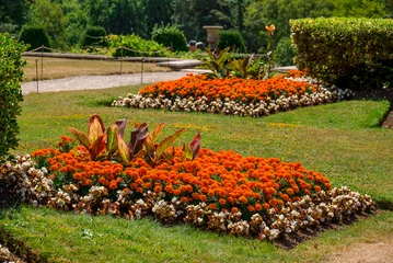 Beautiful formal garden flower beds with purple and yellow flowers © Golden Shark