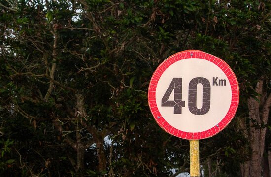 Old Weathered 40 Km Speed Limit Road Sign on Pole with Tree Background for Traffic Safety
