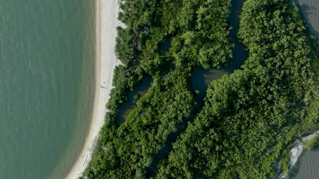 Florian&oacute;polis, Daniela Beach. Aerial View of Tropical Coastline. Establishing Shot. Santa Catarina, Brazil.