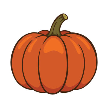 Pumpkin Flat Vector Illustration Isolated on White Background. Perfect for autumn, fall, harvest, Halloween, Thanksgiving, food, and seasonal designs.