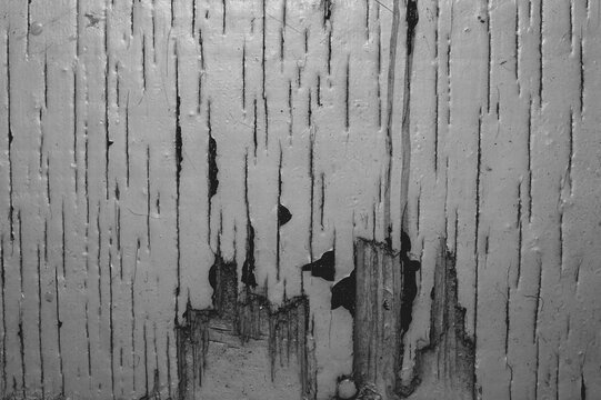 Black and white texture of peeling grey paint on cracked wood