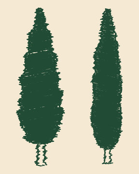 Hand Drawn Cypress Tree Set with Two Tall Evergreen Tree Silhouettes in Green Sketch Style