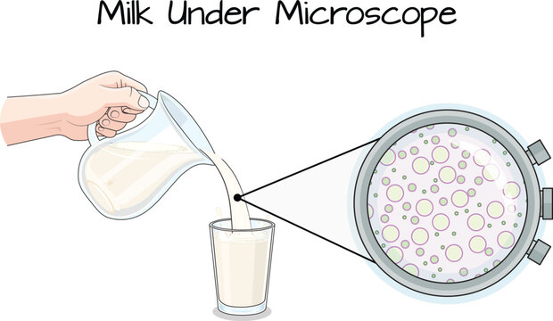Milk Under Microscope Fat Globules Science Education Flat Style Vector Illustration