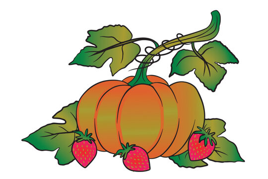 Autumn-season pumpkin and strawberries from the September and October harvest. Transparent background-01.eps