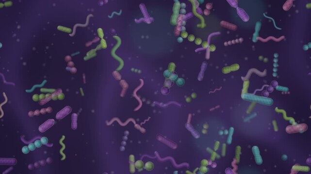 Gut microbiome bacteria ecosystem rod coccus and spiral microbes dividing in mucus seamless loop in deep violet tones