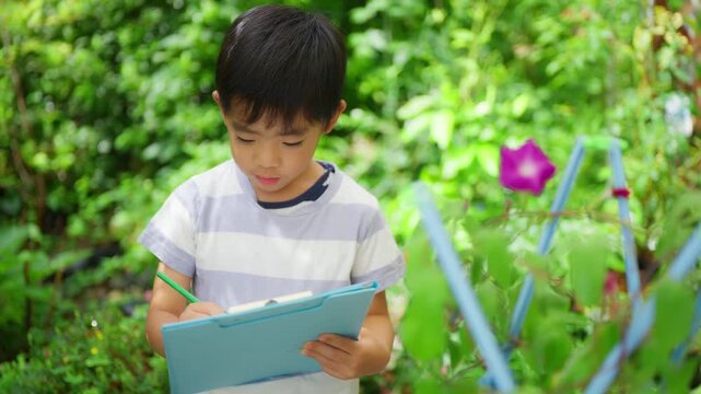 夏休みの宿題に朝顔の絵日記を書く小学一年生の男の子
