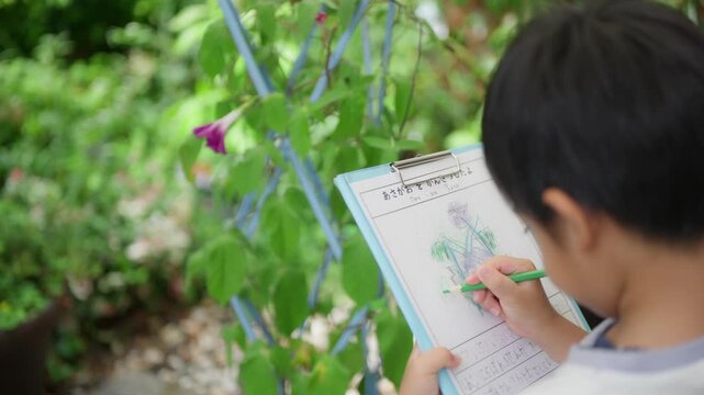 夏休みの宿題に朝顔の絵日記を書く小学一年生の男の子
