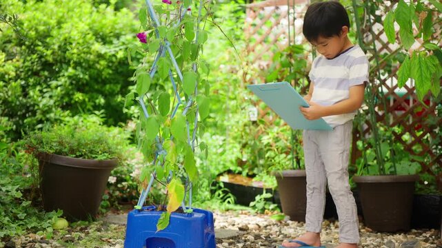 夏休みの宿題に朝顔の絵日記を書く小学一年生の男の子
