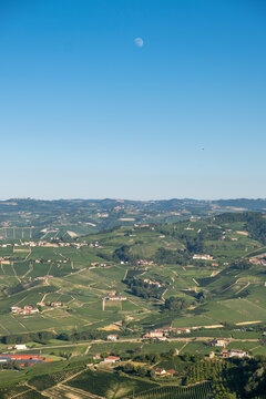 Panoramic Vineyard Landscape Langhe Hills Piedmont Italy Summer