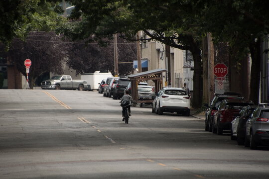 Cyclist Riding Through a Tree Lined Street in Ballard Seattle