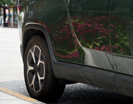 Summer Flowers Reflected in a Parked truck in Ballard Seattle