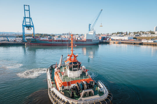 Cruise Ship Sailing Into Reykjavik Harbour With Views Toward the City and Surrounding Mountains, August 2026