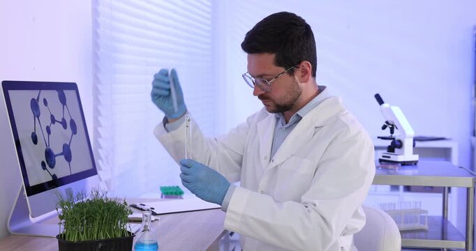 Quality control. Scientist in glasses and gloves dripping liquid from pipette into test tube with microgreen at wooden table in laboratory